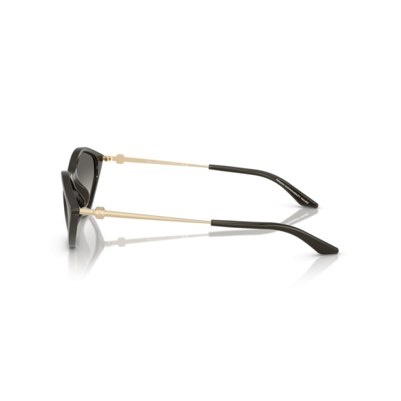 Armani Exchange AX 4152SU 836711 Güneş Gözlüğü