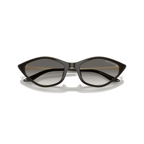 Armani Exchange AX 4152SU 836711 Güneş Gözlüğü