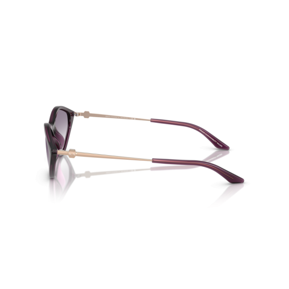 Armani Exchange AX 4152SU 836979 Güneş Gözlüğü