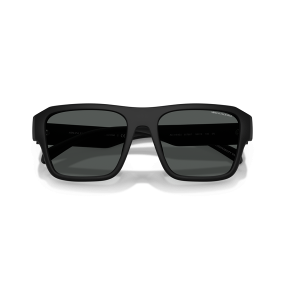 Armani Exchange AX 4154SU 807887 Güneş Gözlüğü