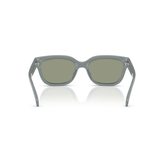 Armani Exchange AX 4155SU 8375/2 Güneş Gözlüğü
