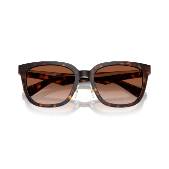 Burberry BE 4446D 300213 Güneş Gözlüğü
