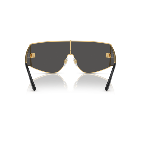 Dolce & Gabbana DG 2305 02/87 Güneş Gözlüğü