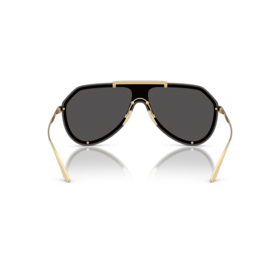 Dolce & Gabbana DG 2309 02/87 Güneş Gözlüğü