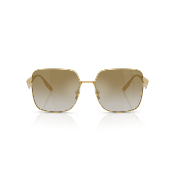 Dolce & Gabbana DG 2310 12246E Güneş Gözlüğü