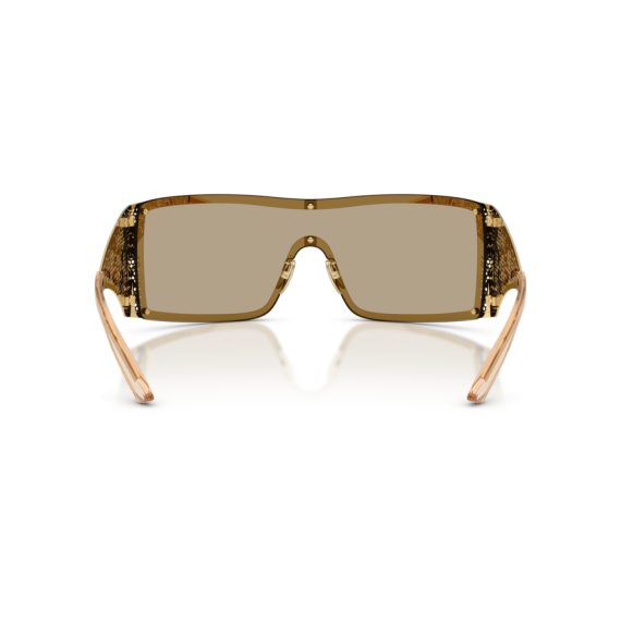 Dolce & Gabbana DG 2317 02/7I Güneş Gözlüğü