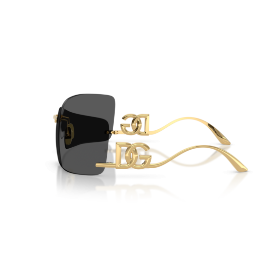 Dolce & Gabbana DG 2319 02/87 Güneş Gözlüğü