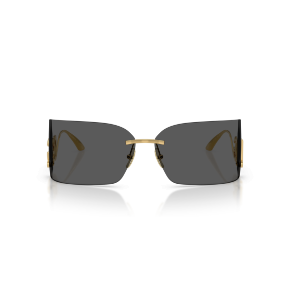 Dolce & Gabbana DG 2319 02/87 Güneş Gözlüğü