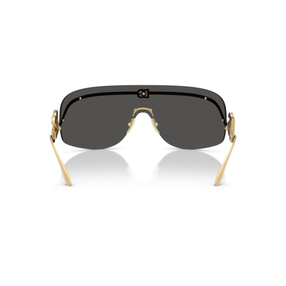 Dolce & Gabbana DG 2320 02/87 Güneş Gözlüğü