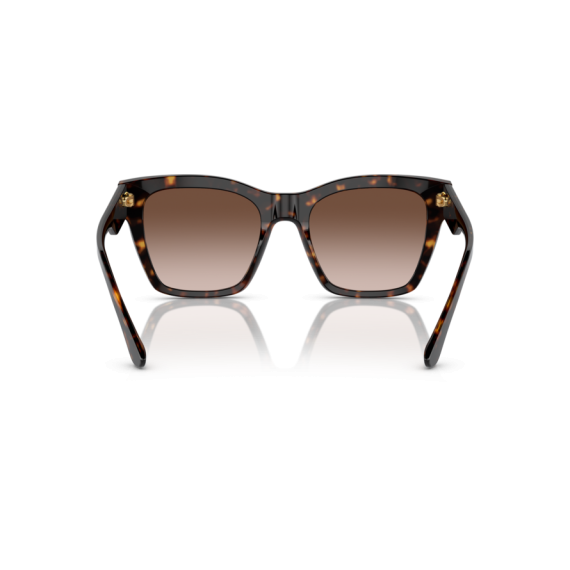 Dolce & Gabbana DG 4384 502/13 Güneş Gözlüğü