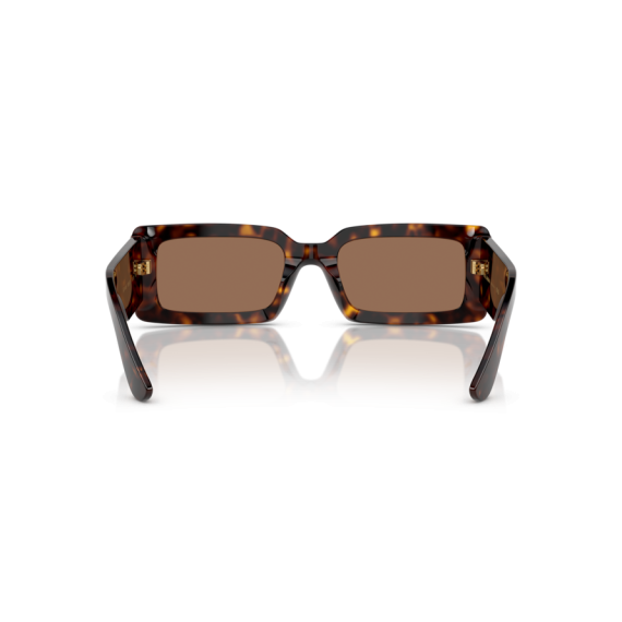 Dolce & Gabbana DG 4416 193573 Güneş Gözlüğü