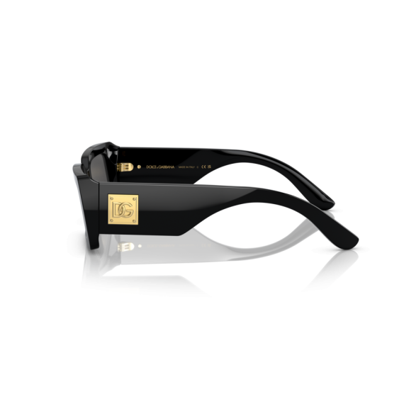 Dolce & Gabbana DG 4416 501/87 Güneş Gözlüğü