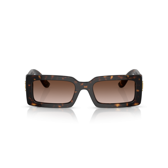 Dolce & Gabbana DG 4416 502/13 Güneş Gözlüğü