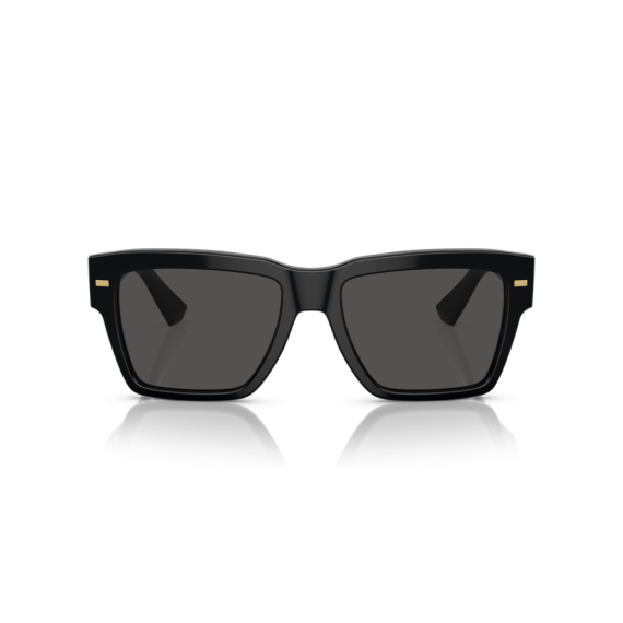 Dolce & Gabbana DG 4431 501/87 Güneş Gözlüğü