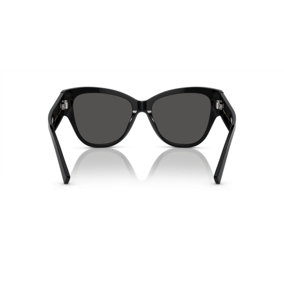 Dolce & Gabbana DG 4449 501/87 Güneş Gözlüğü