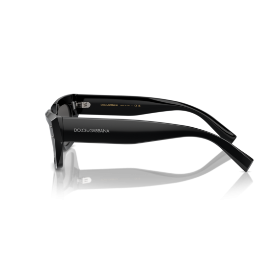 Dolce & Gabbana DG 4462 501/87 Güneş Gözlüğü
