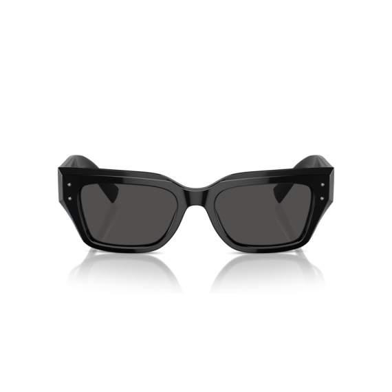 Dolce & Gabbana DG 4462 501/87 Güneş Gözlüğü
