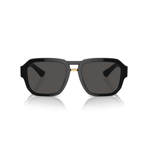 Dolce & Gabbana DG 4464 501/87 Güneş Gözlüğü