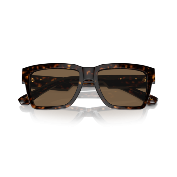 Dolce & Gabbana DG 4465 502/73 Güneş Gözlüğü