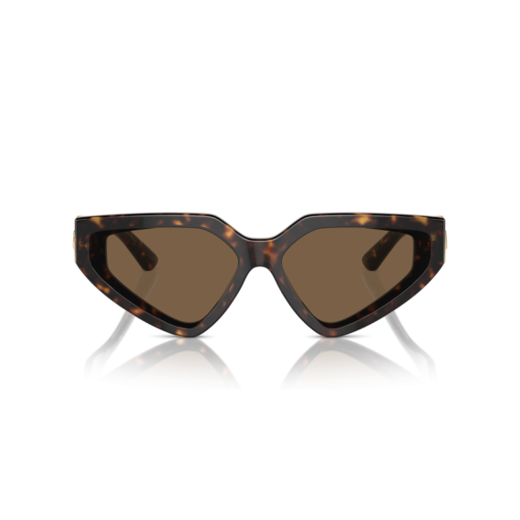 Dolce & Gabbana DG 4469 502/73 Güneş Gözlüğü