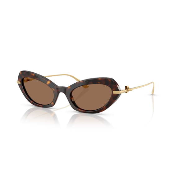 Dolce & Gabbana DG 4473 502/73 Güneş Gözlüğü