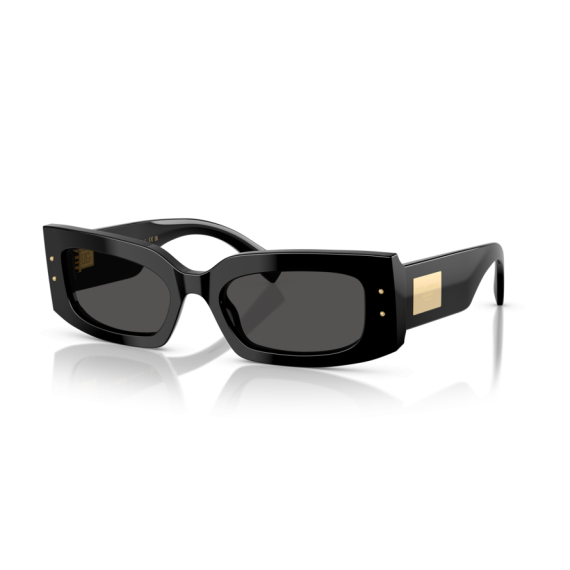 Dolce & Gabbana DG 4479 501/87 Güneş Gözlüğü