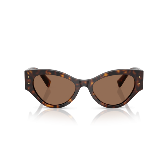 Dolce & Gabbana DG 4480 502/73 Güneş Gözlüğü