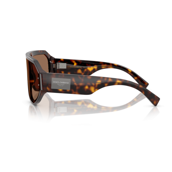 Dolce & Gabbana DG 4481 502/73 Güneş Gözlüğü