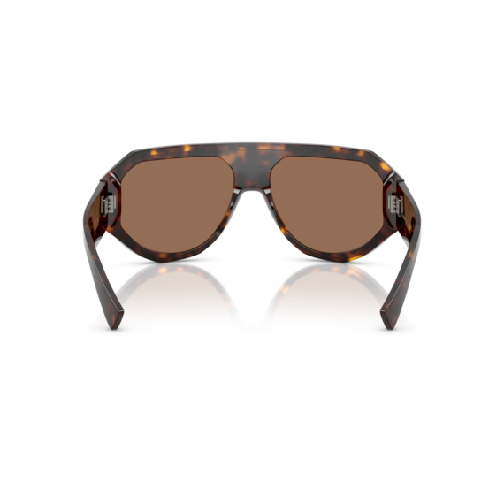 Dolce & Gabbana DG 4481 502/73 Güneş Gözlüğü