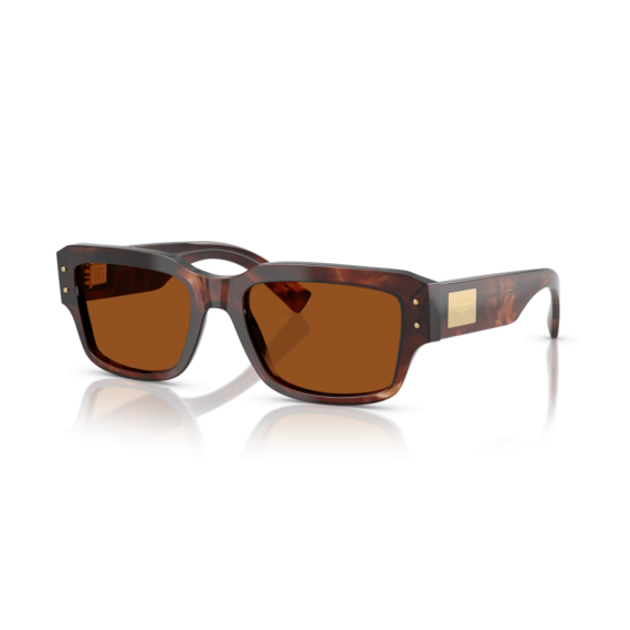 Dolce & Gabbana DG 4483 322273 Güneş Gözlüğü