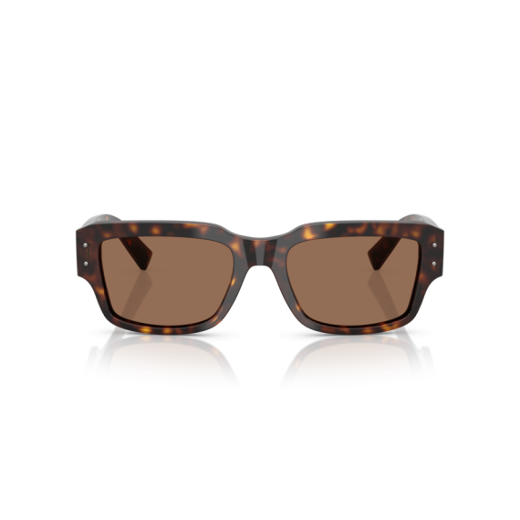 Dolce & Gabbana DG 4483 502/73 Güneş Gözlüğü