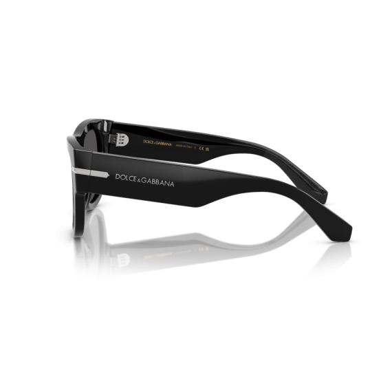 Dolce & Gabbana DG 4484 501/87 Güneş Gözlüğü
