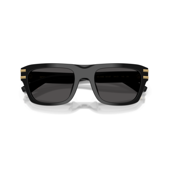 Dolce & Gabbana DG 4496 501/87 Güneş Gözlüğü
