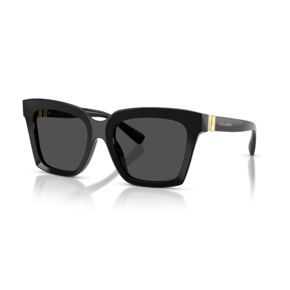 Dolce & Gabbana DG 4498 501/87 Güneş Gözlüğü