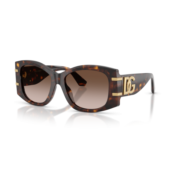 Dolce & Gabbana DG 4501 502/13 Güneş Gözlüğü