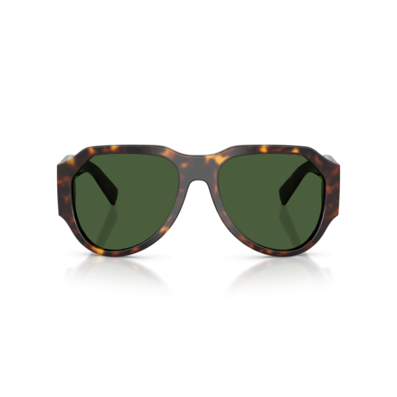 Dolce & Gabbana DG 4504 502/71 Güneş Gözlüğü