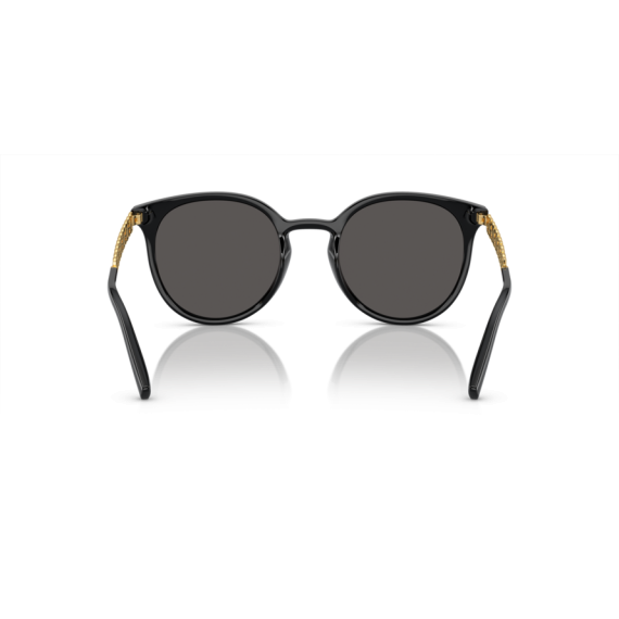 Dolce & Gabbana DG 6189U 501/87 Güneş Gözlüğü