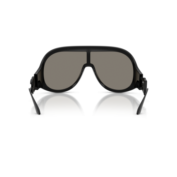 Dolce & Gabbana DG 6202 501/6G Güneş Gözlüğü