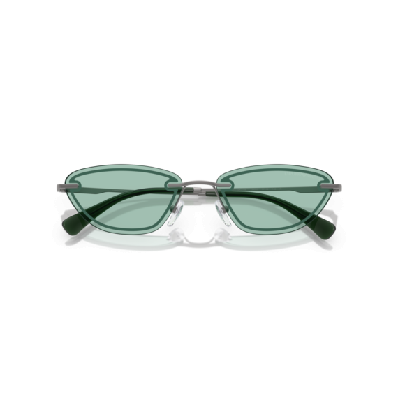 Emporio Armani EA 2158 3003/2 Güneş Gözlüğü
