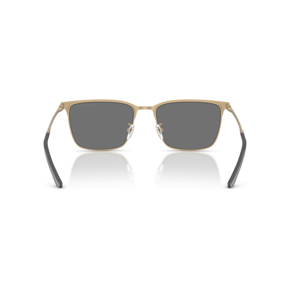 Emporio Armani EA 2164D 30026G Güneş Gözlüğü
