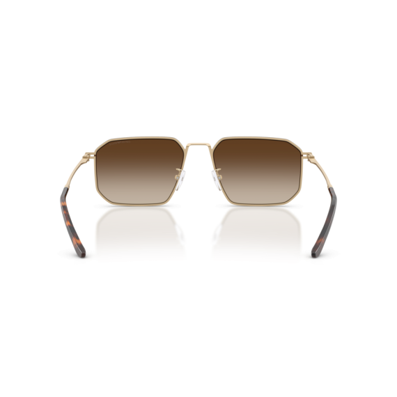 Emporio Armani EA 2165D 300213 Güneş Gözlüğü