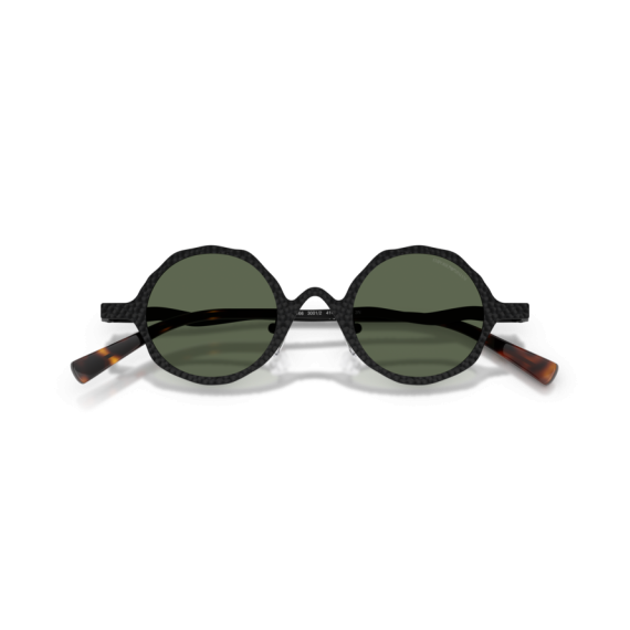 Emporio Armani EA 2166 3001/2 Güneş Gözlüğü