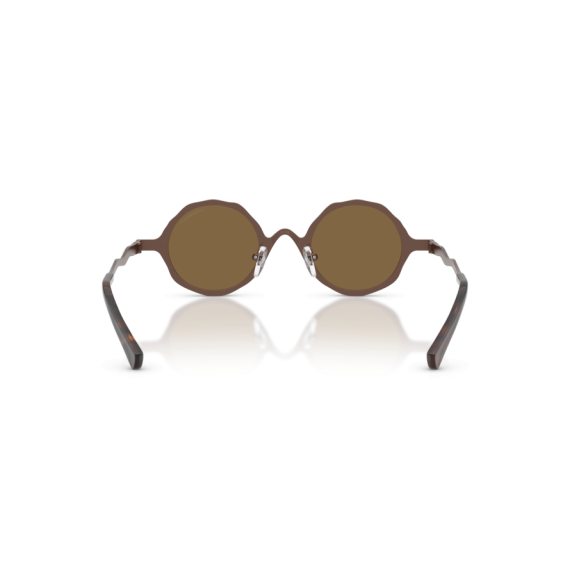 Emporio Armani EA 2166 300473 Güneş Gözlüğü