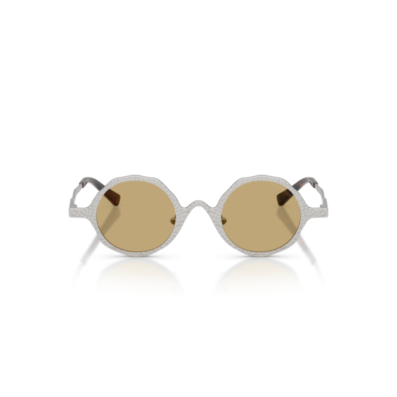 Emporio Armani EA 2166 3015/2 Güneş Gözlüğü