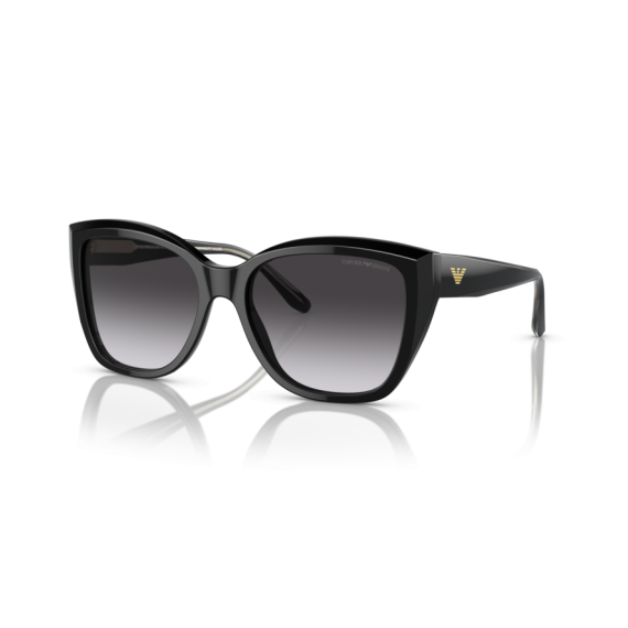 Emporio Armani EA 4198 50178G Güneş Gözlüğü