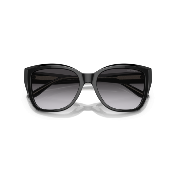 Emporio Armani EA 4198 50178G Güneş Gözlüğü
