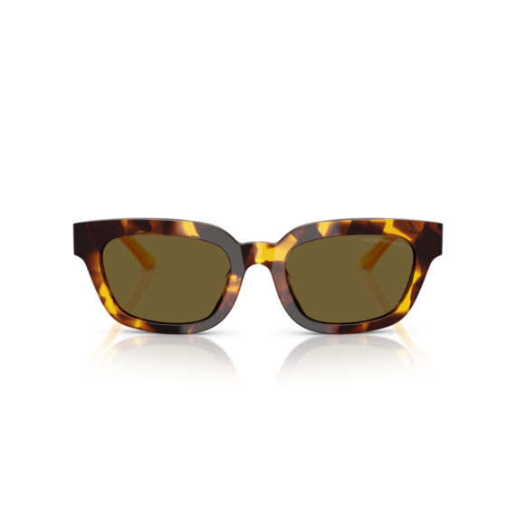 Emporio Armani EA 4233U 618173 Güneş Gözlüğü