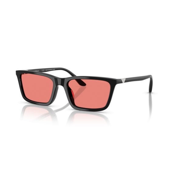 Emporio Armani EA 4239U 501784 Güneş Gözlüğü