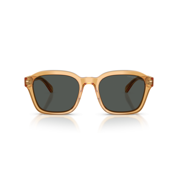 Emporio Armani EA 4245U 624687 Güneş Gözlüğü