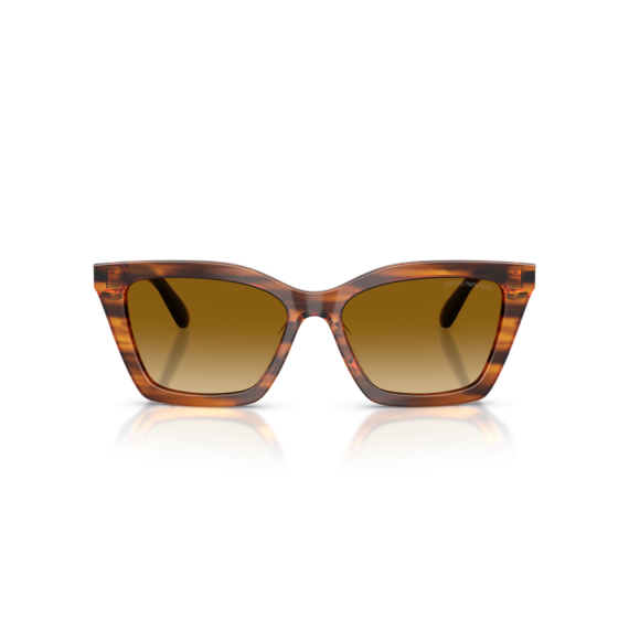 Emporio Armani EA 4250U 62682L Güneş Gözlüğü